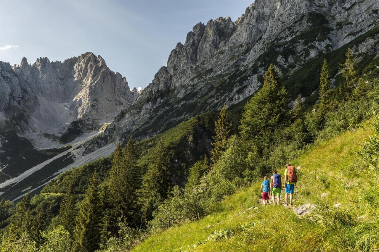Trattenbachhof Scheffau am Wilden Kaiser Bagian luar foto
